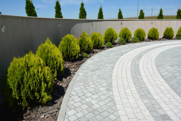 Best Residential Paver Driveway  in St Andrews, SC